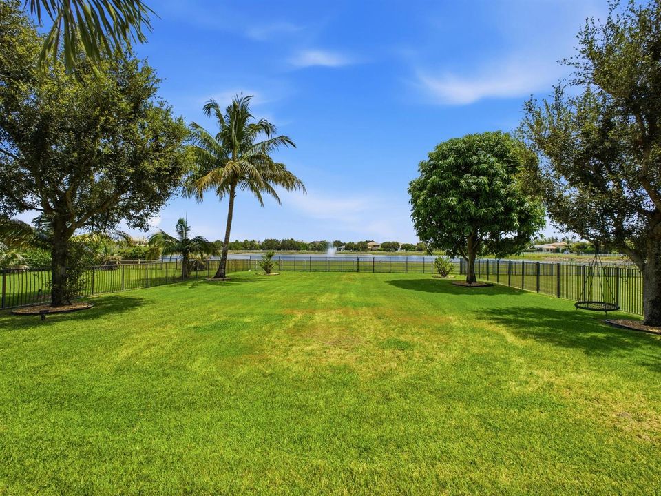 Yard