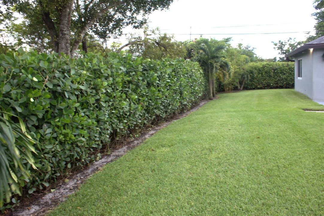 25-backyard 4