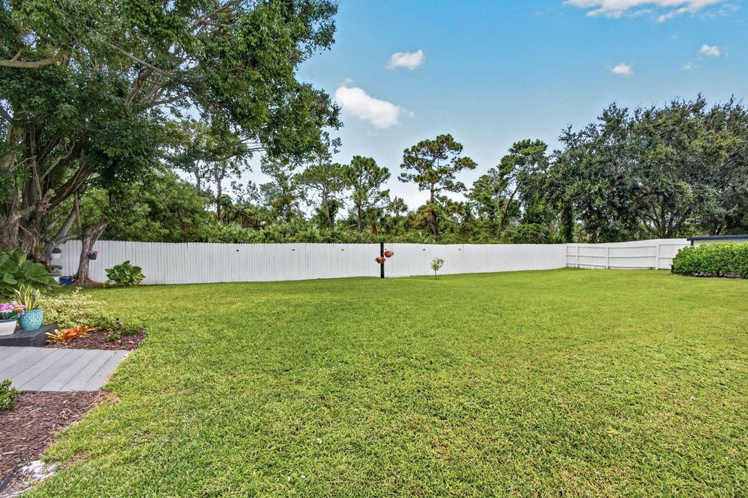 91-web-or-mls-5D1A4956