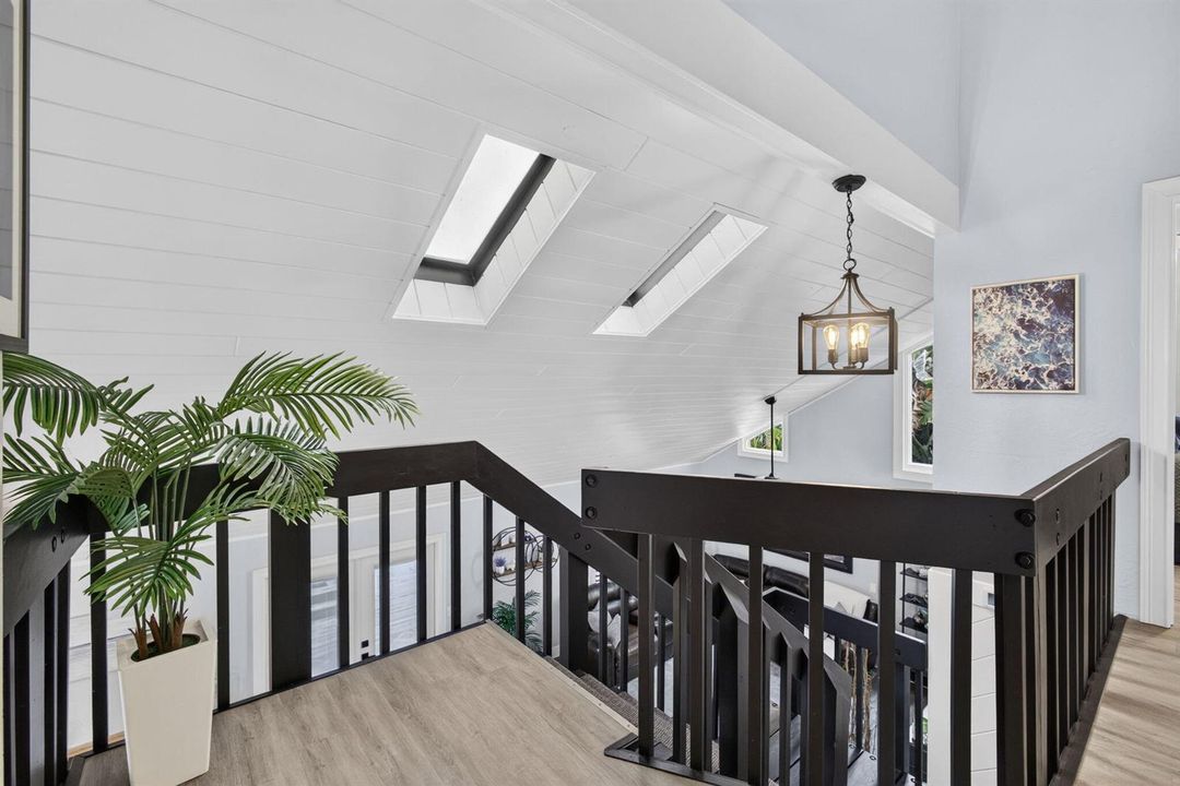 46-web-or-mls-5D1A4641