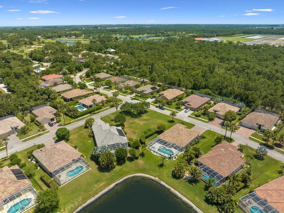 Homes are spaced out
