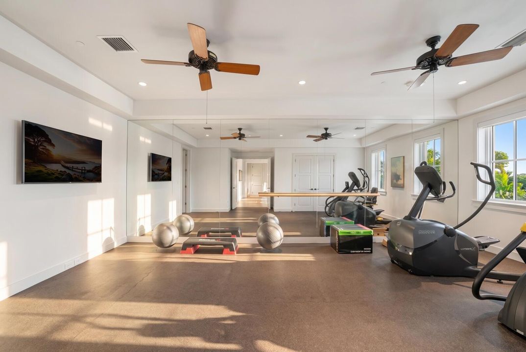 Guest Bedroom / Fitness
