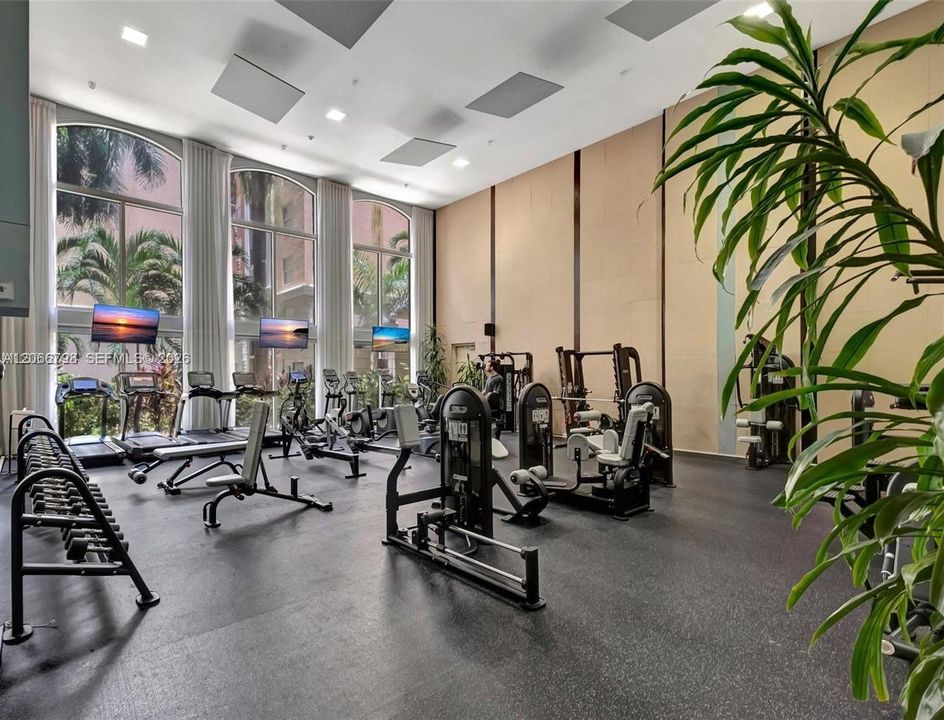 Brand new gym equipment