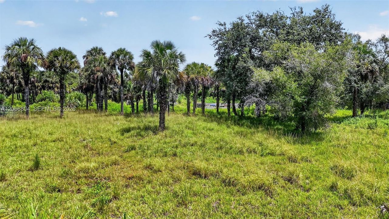 Недавно продано: $220,000 (2.73 acres)