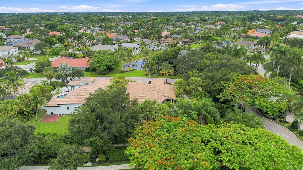 66_dji_0608