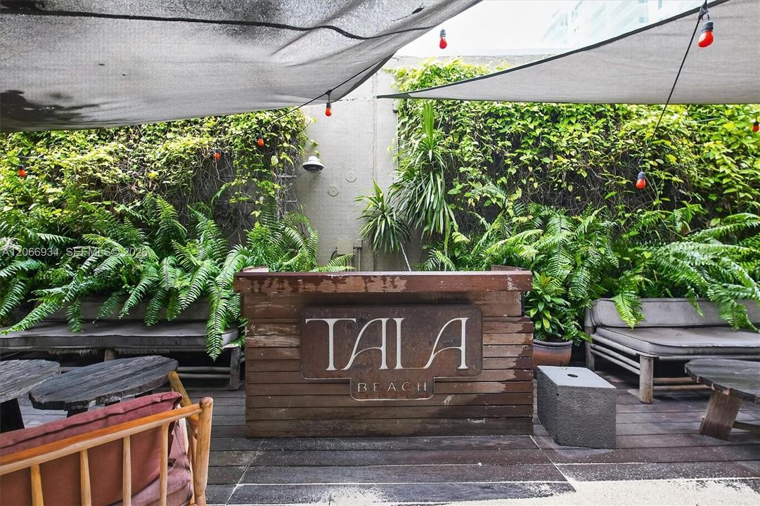 Tala Beach Club on property.  Enjoy Tropical tiki bar and Tulum style dining.