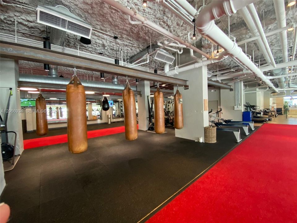 Complimentary boxing classes with gym membership.
