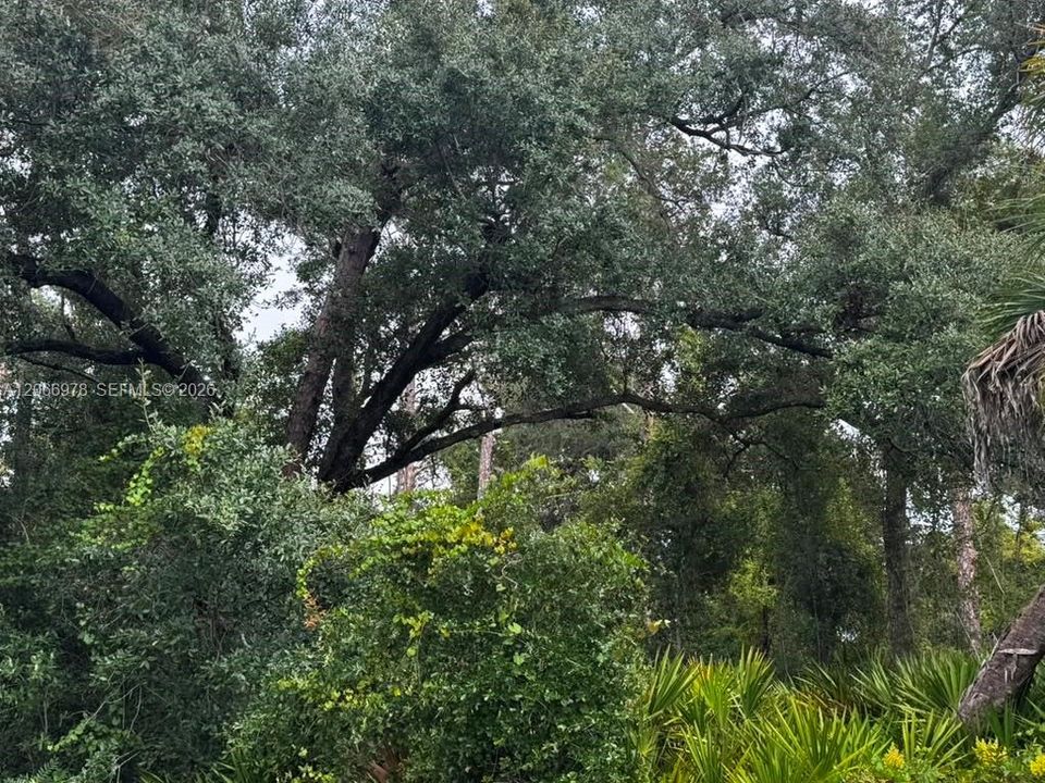 For Sale: $29,200 (0 beds, 0 baths, 0 Square Feet)