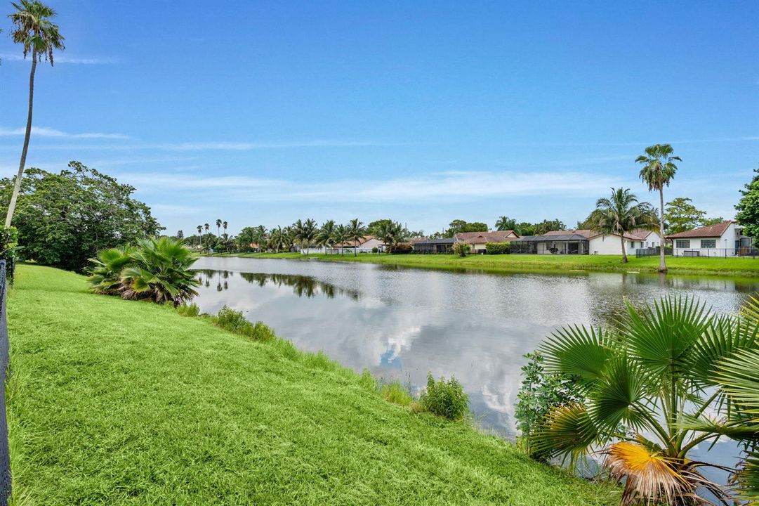 50-web-or-mls-A7404203