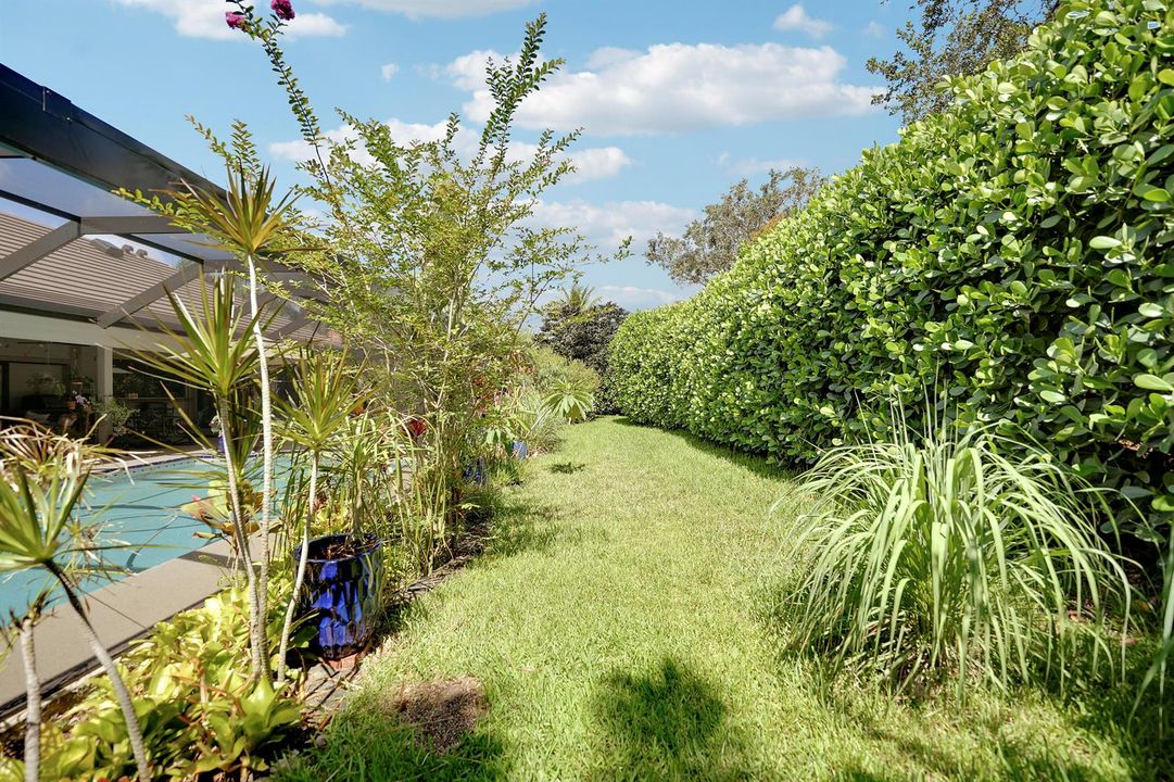 Lush Area Behind Pool