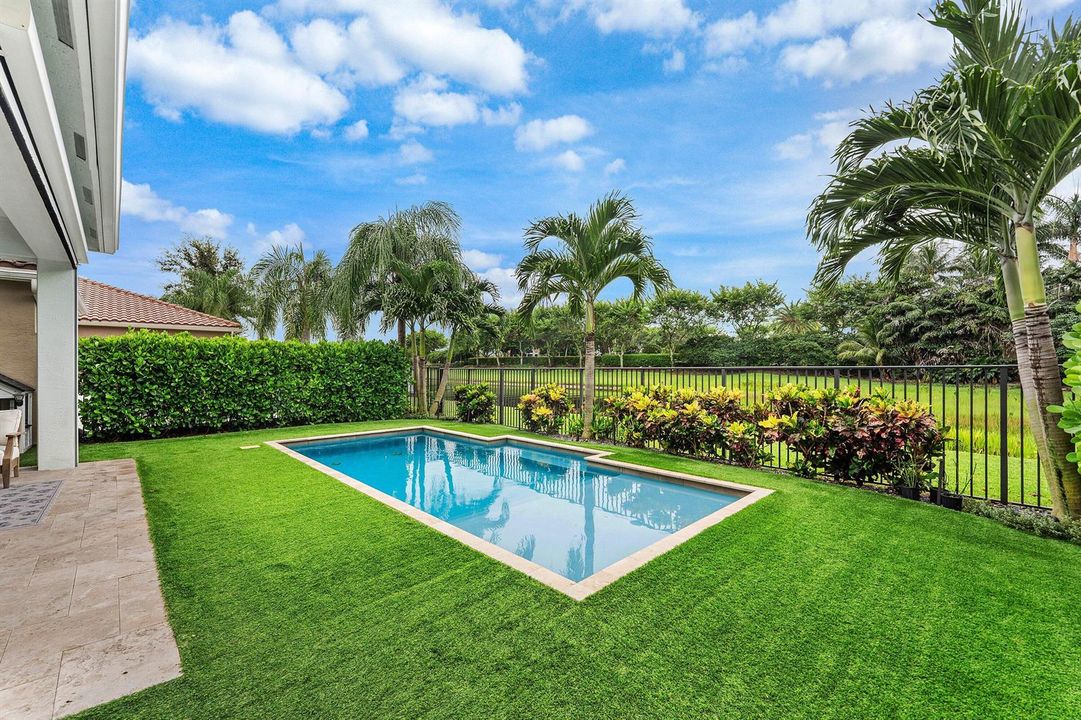 Beautiful Turf Yard