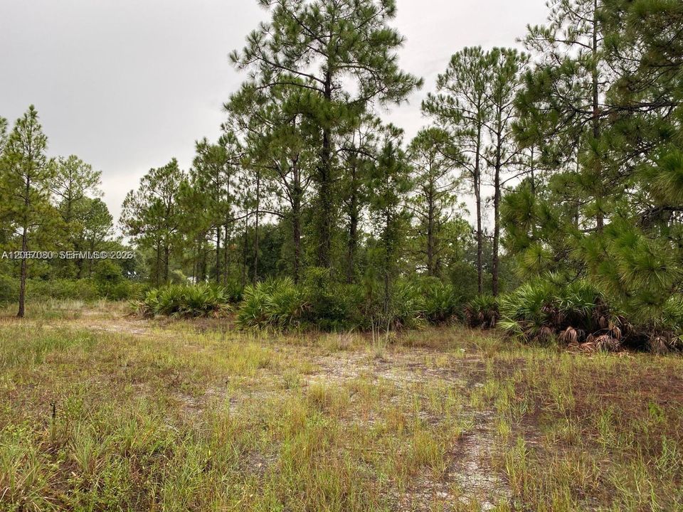 На продажу: $30,000 (0.50 acres)
