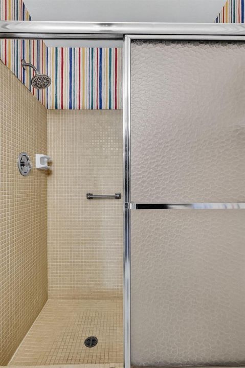 Guest Shower