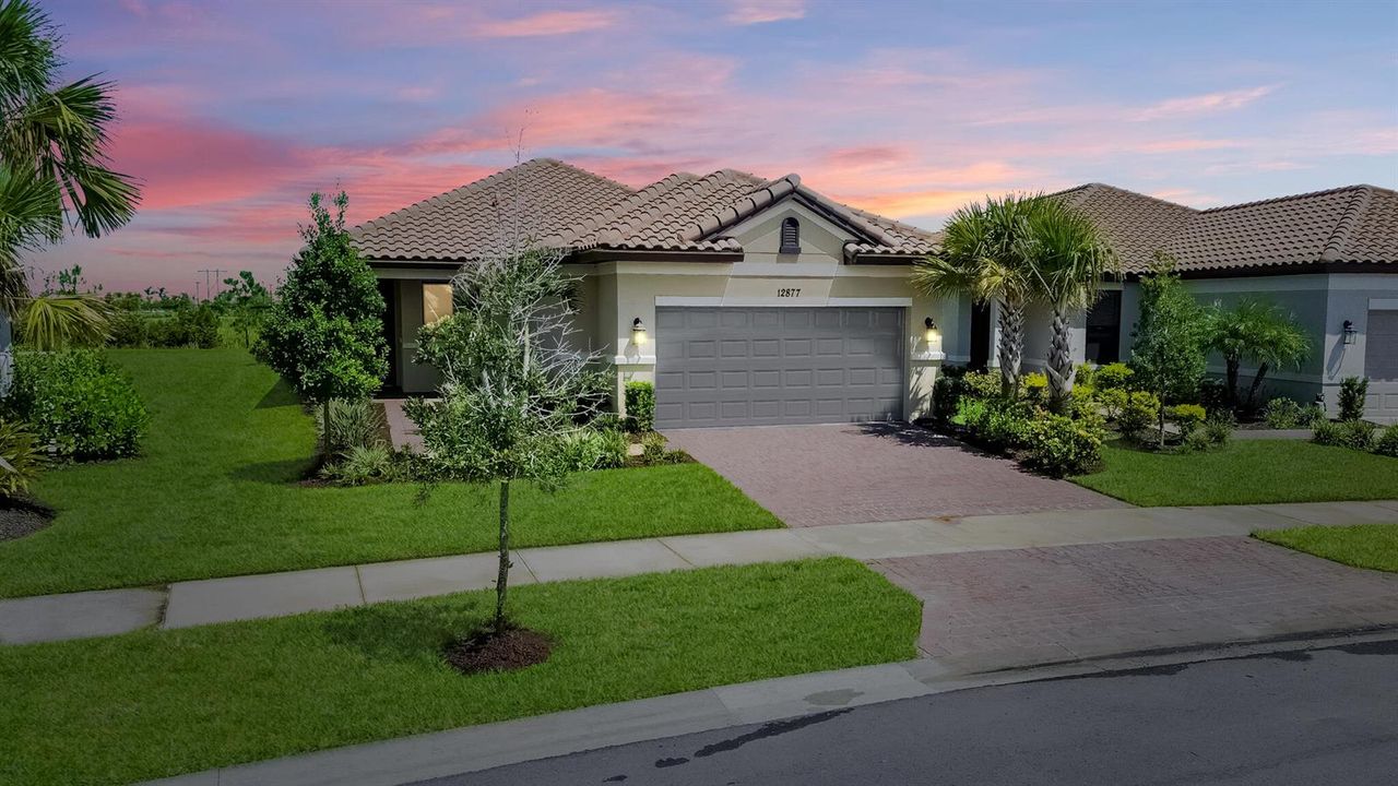 DUSK FRONT