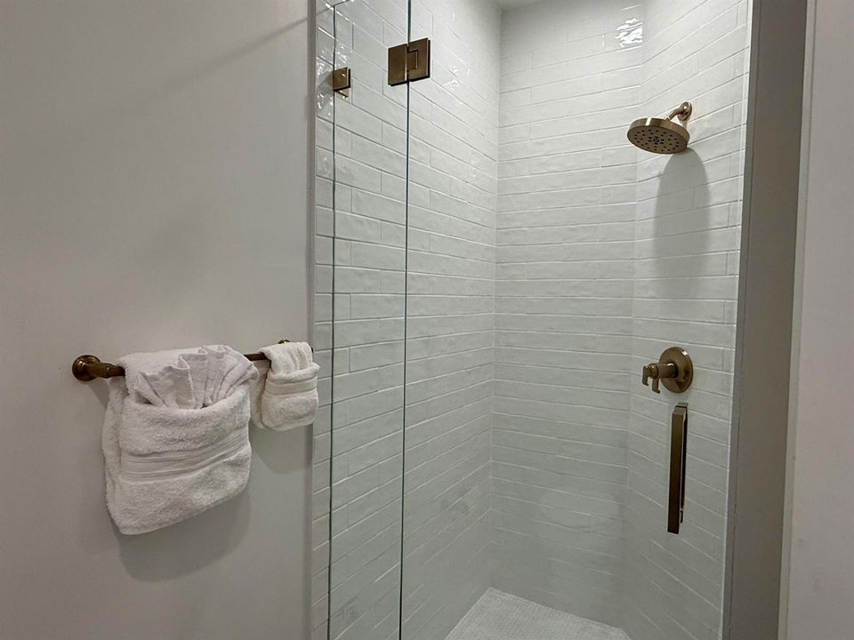 Guest Shower