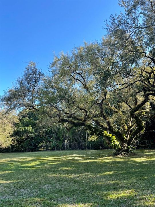 For Rent: $5,400 (3 beds, 2 baths, 1806 Square Feet)