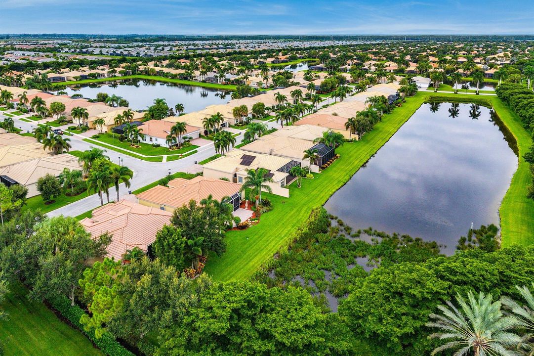 Aerial Pond