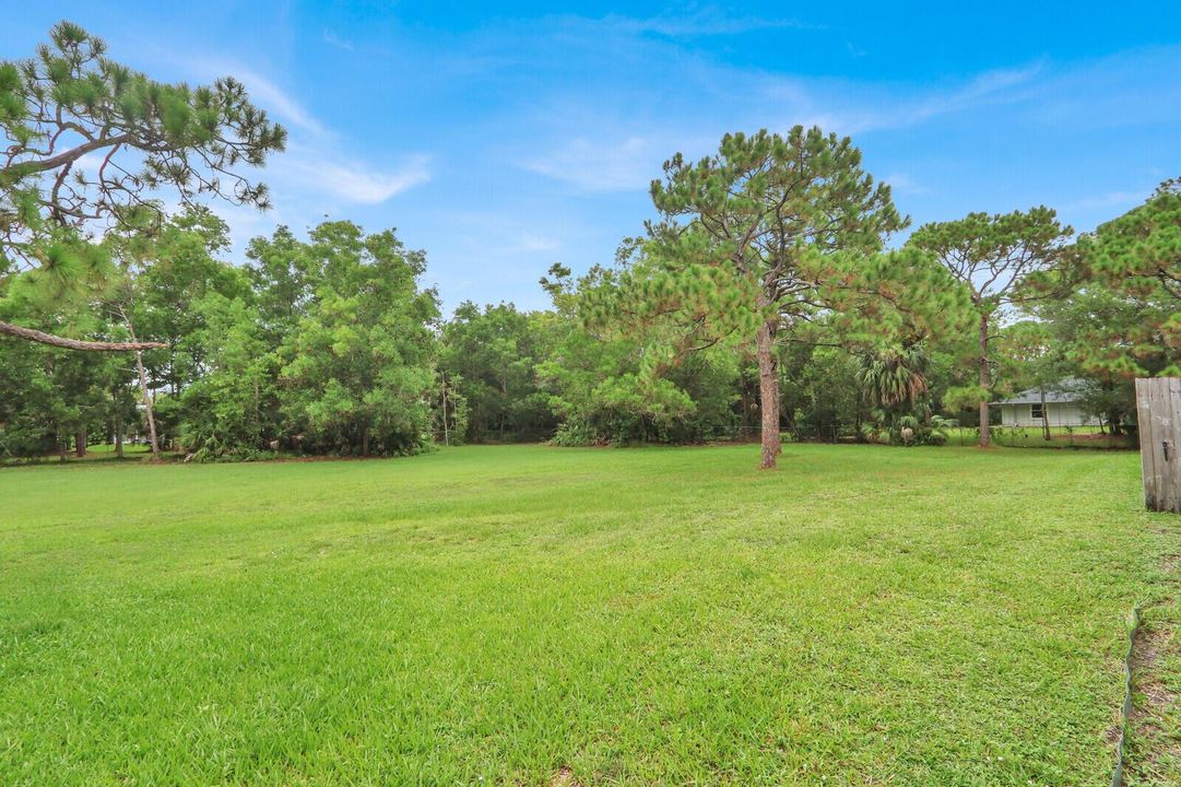 Back yard