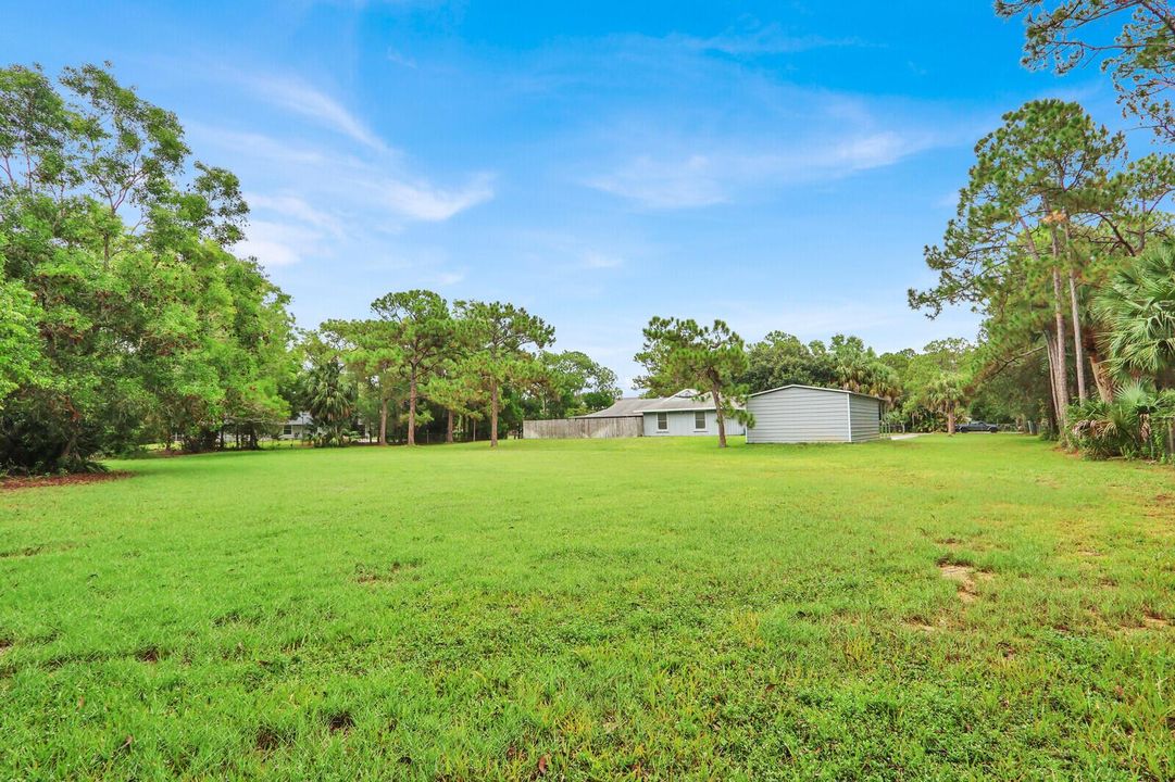 Back yard