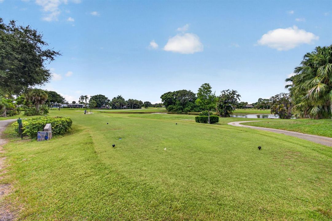 56-web-or-mls-5D1A6226
