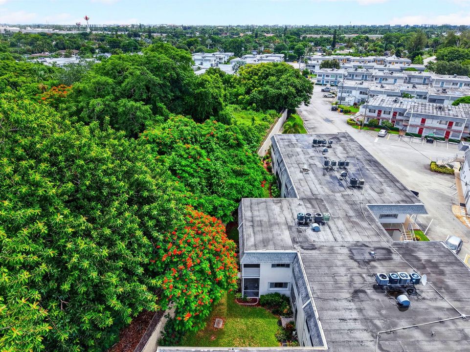 Botanic Gardens behind unit