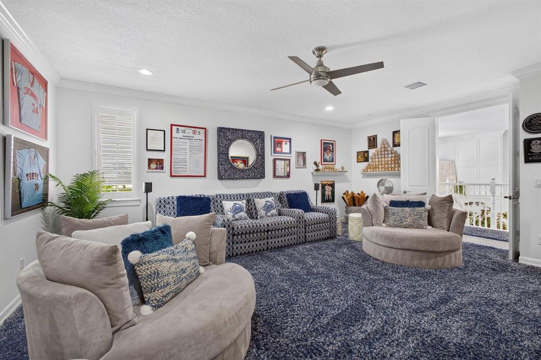Media Room/Man Cave