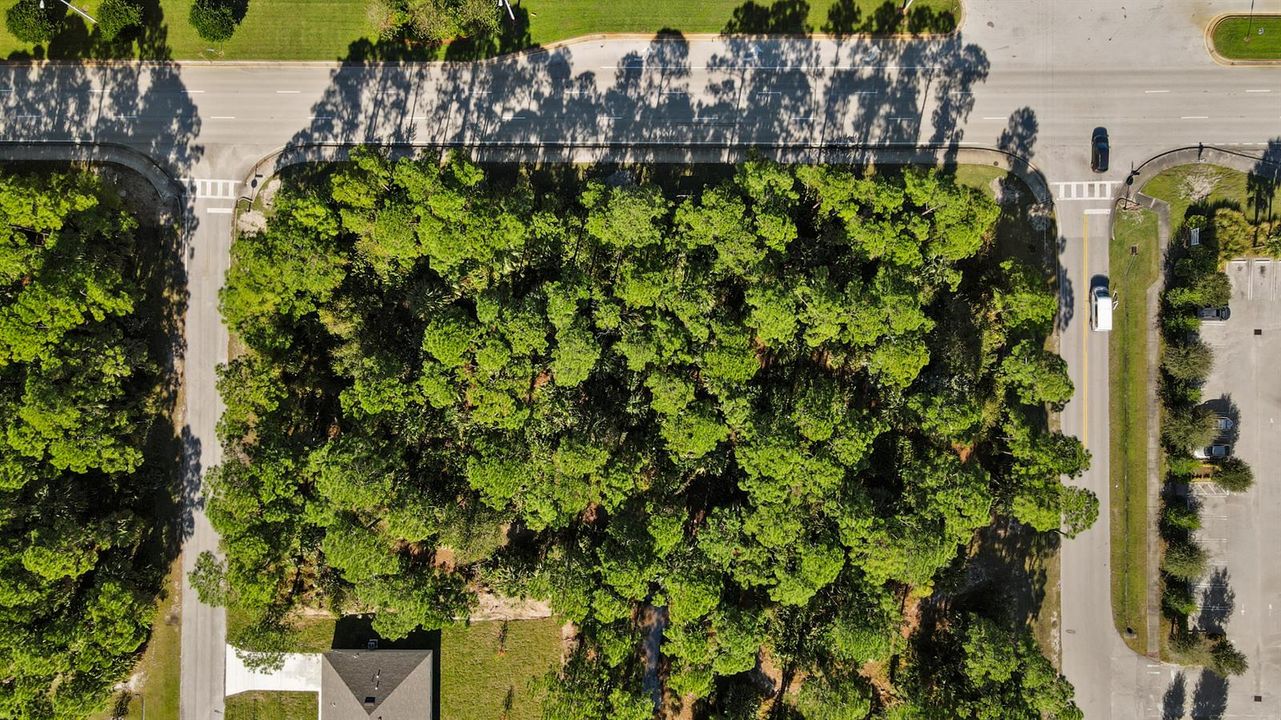DJI_0289