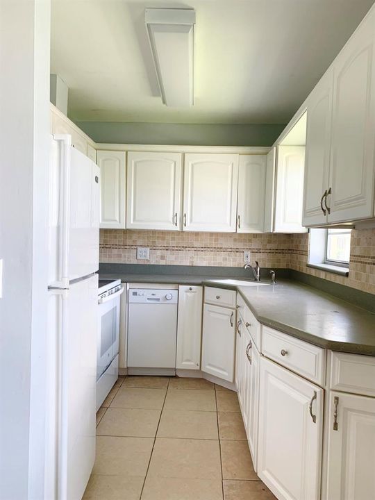 IMG_3526