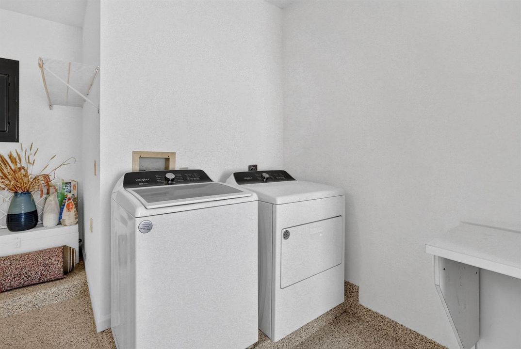 52-web-or-mls-5P1A4203