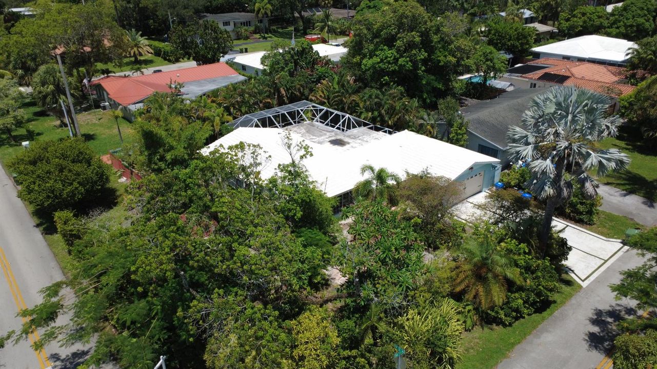 DJI_0049