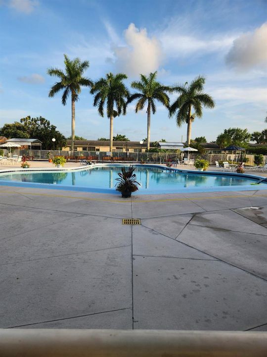pool