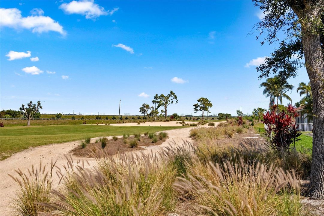 Wanderers Golf Course Views