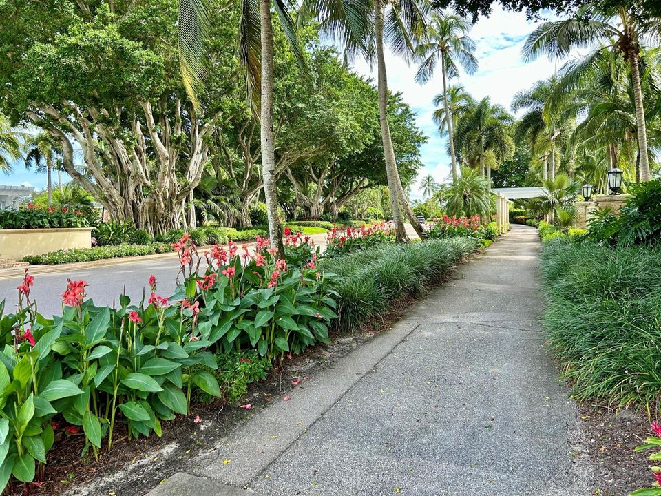 sidewalk
