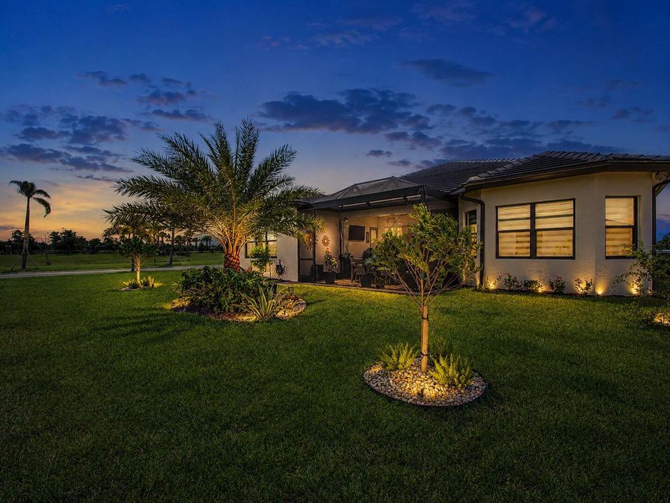 Backyard Twilight Shot