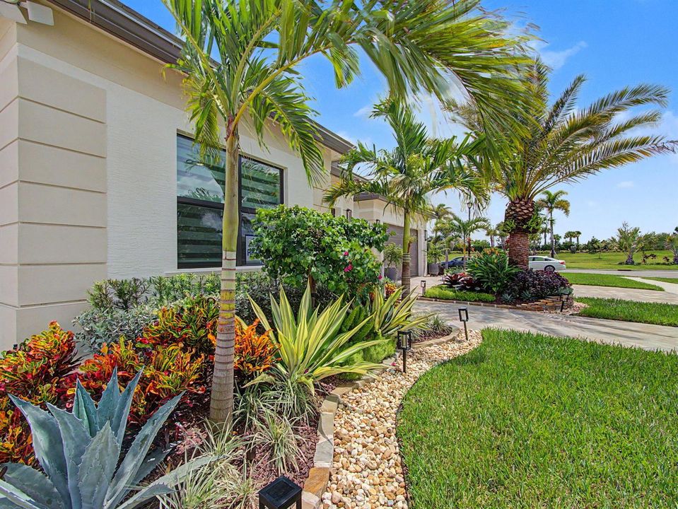 Front Yard