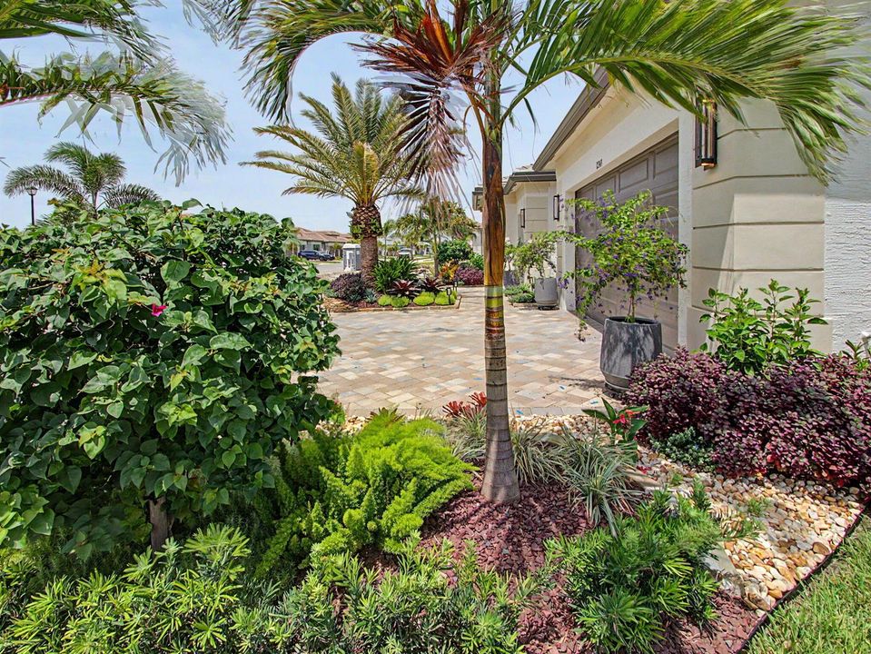 Front Landscaping