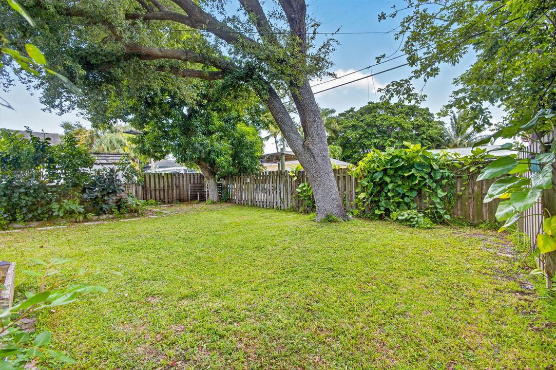 45-web-or-mls-5D1A5176