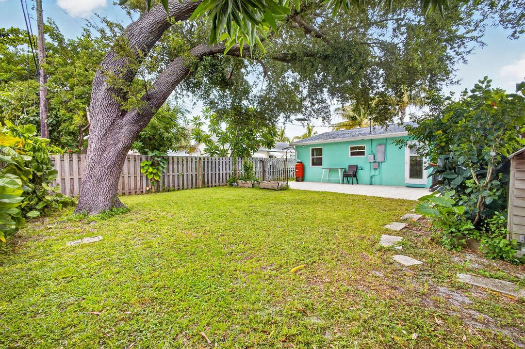 51-web-or-mls-5D1A5206