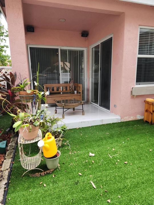 Backyard