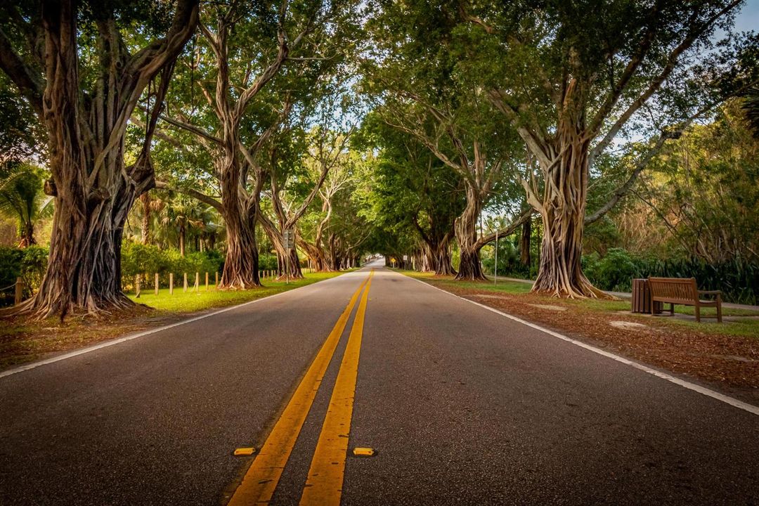Bridge Road