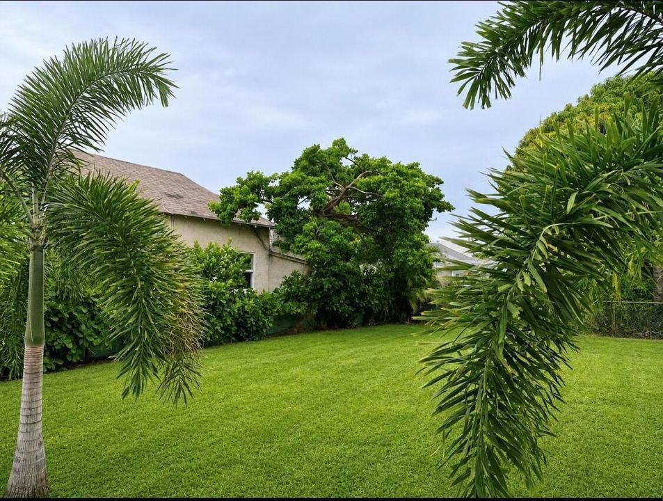 Backyard