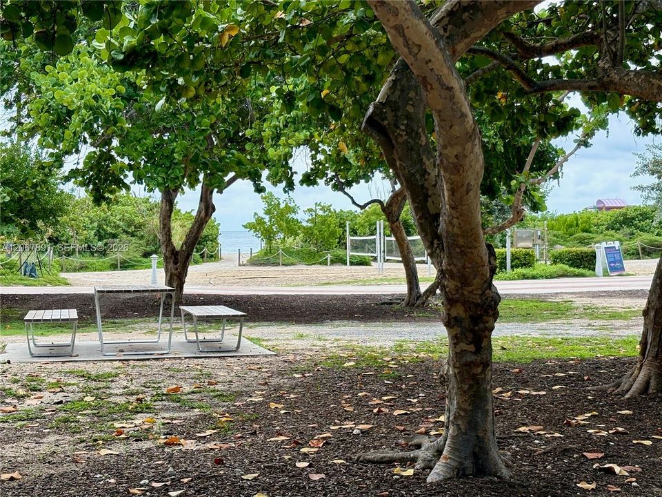 Main Entrance to North Beach Park