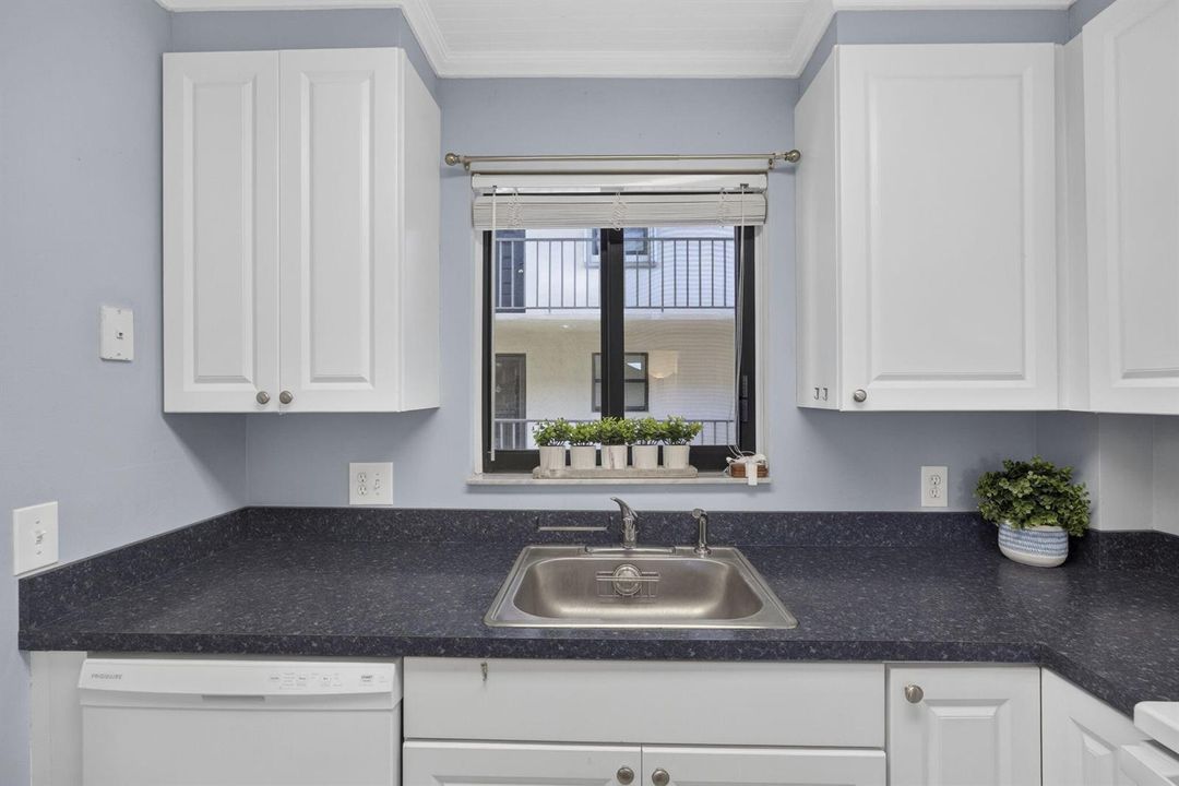 Kitchen Window
