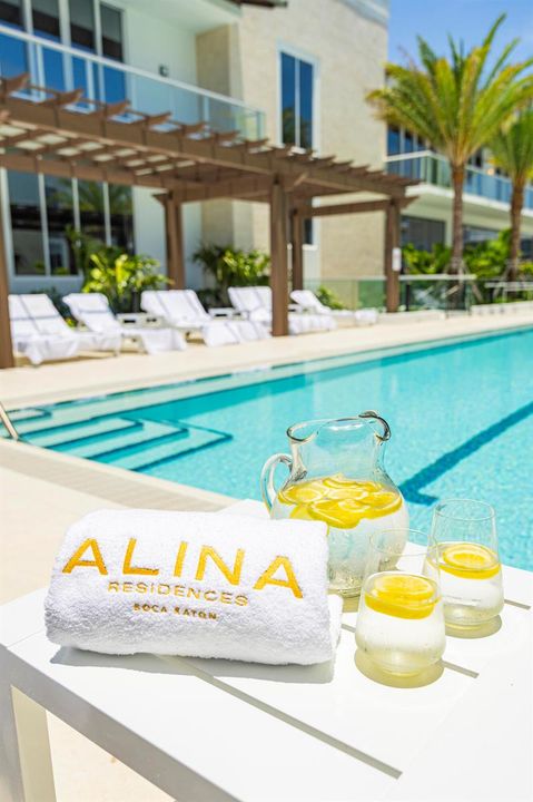 Alina 220 Pool Detail