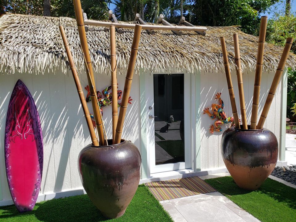 Bamboo