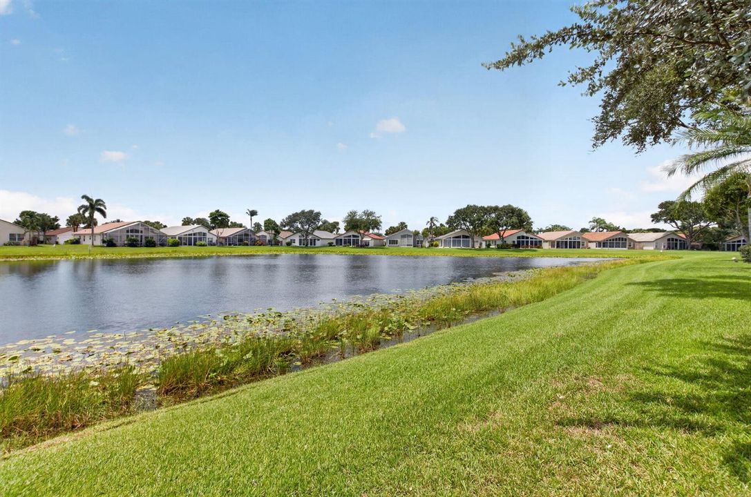Lake view
