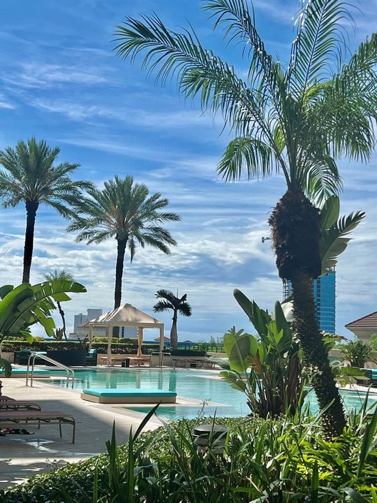 Pool area