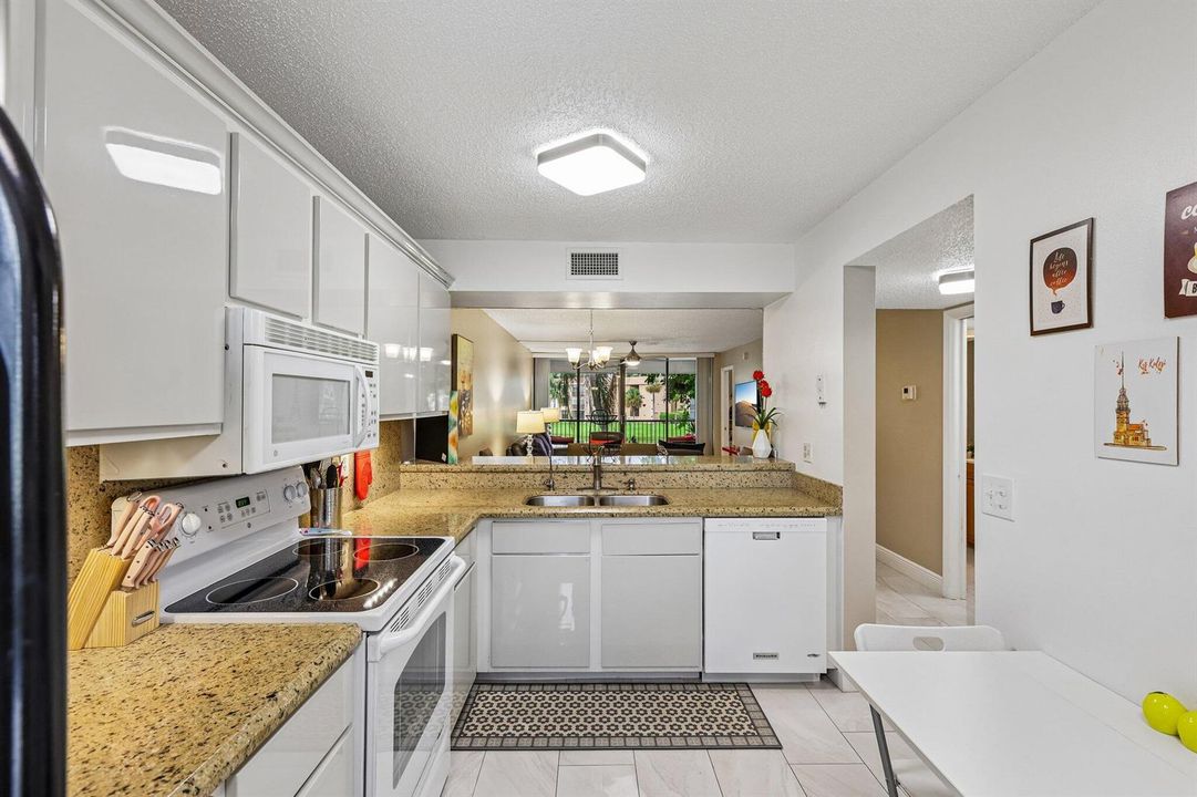 17-web-or-mls-Coral Lake Dr 206-S0608-01