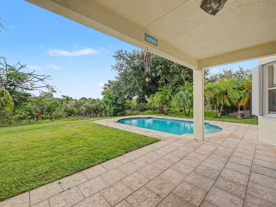 Backyard Pool