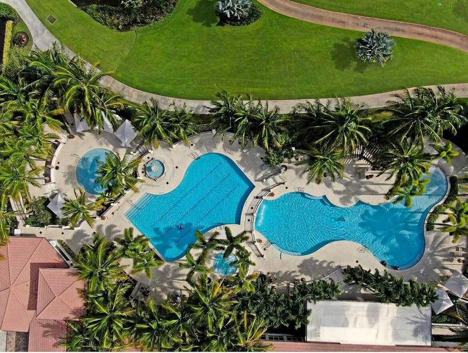 28. Pool Arial Pic